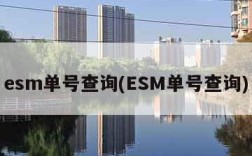 esm单号查询(ESM单号查询)