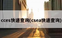 cces快递查询(csea快递查询)