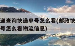 邮政快递查询快递单号怎么看(邮政快递查询快递单号怎么看物流信息)