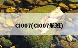 CI007(CI007航班)