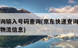 快递查询输入号码查询(京东快递查询输入号码查询物流信息)