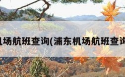 浦东机场航班查询(浦东机场航班查询官网)