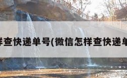 怎样查快递单号(微信怎样查快递单号)