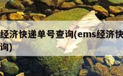 ems经济快递单号查询(ems经济快递站点查询)