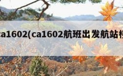 ca1602(ca1602航班出发航站楼)