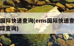 ems国际快递查询(ems国际快递查询单号跟踪查询)