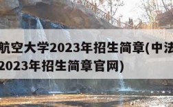 中法航空大学2023年招生简章(中法航空大学2023年招生简章官网)