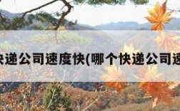 哪家快递公司速度快(哪个快递公司速度快)