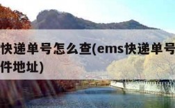 ems快递单号怎么查(ems快递单号怎么查收件地址)