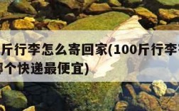 100斤行李怎么寄回家(100斤行李寄回家哪个快递最便宜)