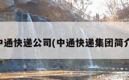 中通快递公司(中通快递集团简介)