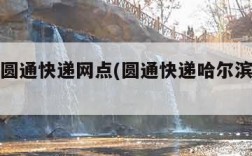 哈尔滨圆通快递网点(圆通快递哈尔滨网点查询)