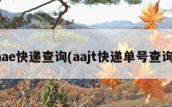 aae快递查询(aajt快递单号查询)