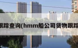 货物跟踪查询(hmm船公司货物跟踪查询)