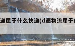 d速快递属于什么快递(d速物流属于什么快递)