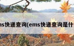 ems快递查询(ems快递查询是什么)