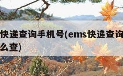 ems快递查询手机号(ems快递查询手机号怎么查)