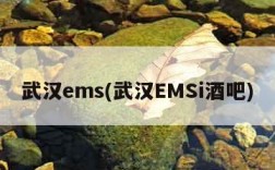 武汉ems(武汉EMSi酒吧)