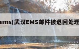 武汉ems(武汉EMS邮件被退回处理中心)