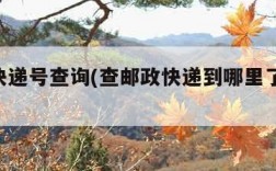 邮政快递号查询(查邮政快递到哪里了 单号查询)