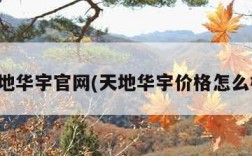 天地华宇官网(天地华宇价格怎么样)