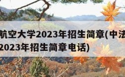 中法航空大学2023年招生简章(中法航空大学2023年招生简章电话)