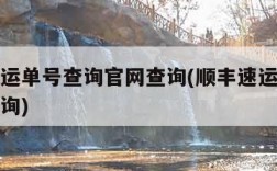 顺丰速运单号查询官网查询(顺丰速运查快递单号查询)