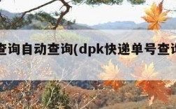 单号查询自动查询(dpk快递单号查询自动查询)