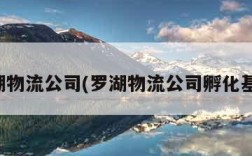 罗湖物流公司(罗湖物流公司孵化基地)