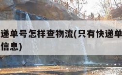 只有快递单号怎样查物流(只有快递单号怎样查物流信息)